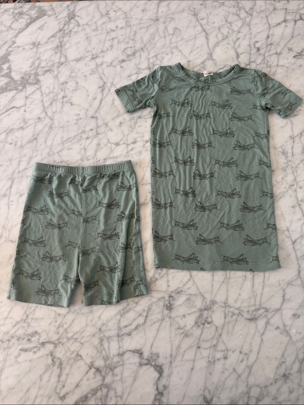 Kate Quinn Bamboo Kids Short Sleeve Pajama Set Sage Grasshopper Print Sz 5T